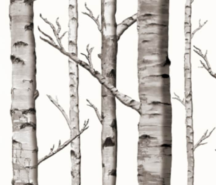 One (1) Curtain Panel - White Birch Tree Drapery - 54" Wide - Blackout lining available - Lined white birch tree curtain panel rustic woods