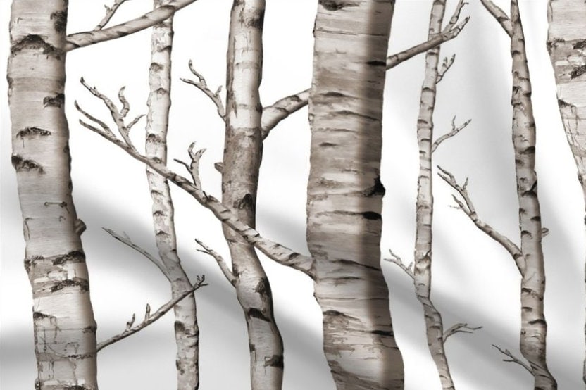 One (1) Curtain Panel or Valance "White Birch Tree" Drapery - Blackout lining available - Handmade using Cotton Sateen Fabric.