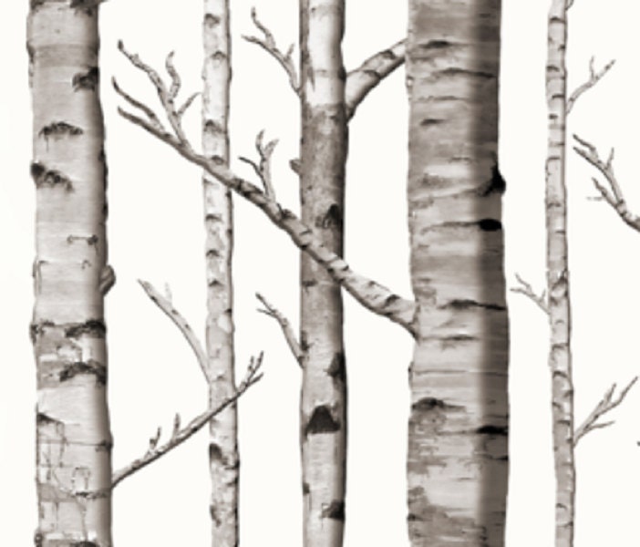 One (1) Curtain Panel or Valance Organic White Birch Tree Drapery - 54" Wide - Blackout lining available - White Birches, White, Grey, Black