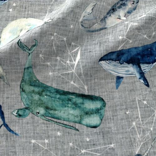 One (1) Curtain Panel Cotton "Atlantis Whales Grey" - Home Decor for Bathroom, Kids room. Fun Ocean, Beach, Blue Whales, Stars, Compass