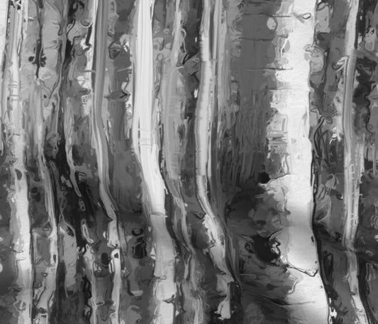 One (1) Curtain Panel - Organic "Black and White Birch Forest" White Birch Tree - 54" Wide - Blackout lining available. Tree Impression
